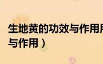 生地黄的功效与作用用量多少（生地黄的功效与作用）