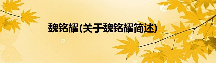 魏铭耀(关于魏铭耀简述)