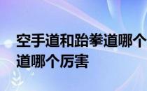 空手道和跆拳道哪个厉害一些 空手道和跆拳道哪个厉害