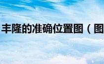 丰隆的准确位置图（图解 按摩丰隆最佳时间）