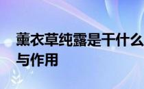 薰衣草纯露是干什么用的 熏衣草纯露的功效与作用