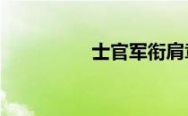 士官军衔肩章 士官军衔