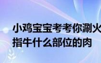 小鸡宝宝考考你涮火锅时吃的牛上脑—般是指牛什么部位的肉