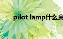 pilot lamp什么意思 lamp什么意思
