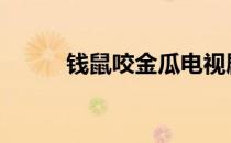 钱鼠咬金瓜电视剧在线观看 钱鼠