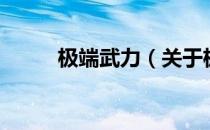 极端武力（关于极端武力的介绍）