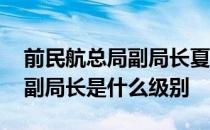 前民航总局副局长夏 夏兴华中国民用航空局副局长是什么级别