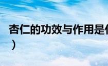 杏仁的功效与作用是什么（杏仁的功效与作用）