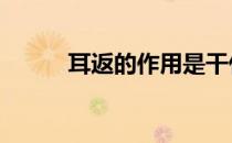 耳返的作用是干什么 耳返的作用
