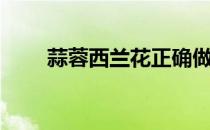 蒜蓉西兰花正确做法（蒜蓉西兰花）