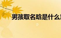 男孩取名晗是什么意思 晗是什么意思
