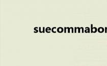 suecommabonnie鞋子偏小吗