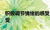 积极调节情绪的感受50字 积极调节情绪的感受