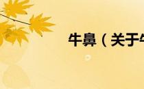 牛鼻（关于牛鼻的介绍）