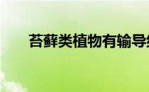 苔藓类植物有输导组织吗 苔藓类植物