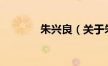 朱兴良（关于朱兴良的介绍）