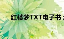 红楼梦TXT电子书 红楼梦小说txt下载
