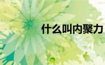 什么叫内聚力 什么是内聚力