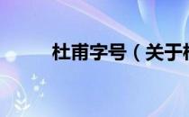 杜甫字号（关于杜甫字号的介绍）