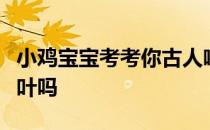 小鸡宝宝考考你古人喝茶也都是用沸水冲泡茶叶吗