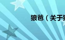 狼爸（关于狼爸的介绍）
