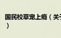 国民校草宠上瘾（关于国民校草宠上瘾的介绍）