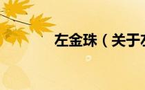左金珠（关于左金珠的介绍）