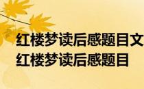 红楼梦读后感题目文艺一点的主要写贾宝玉 红楼梦读后感题目