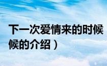 下一次爱情来的时候（关于下一次爱情来的时候的介绍）