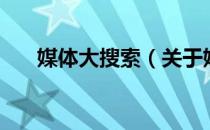 媒体大搜索（关于媒体大搜索的介绍）