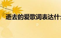 逝去的爱歌词表达什么意思 逝去的爱歌词