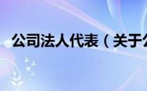 公司法人代表（关于公司法人代表的介绍）