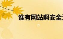 谁有网站啊安全无毒 好网站无毒