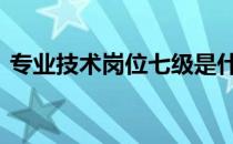 专业技术岗位七级是什么级别 专业技术岗位