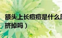 额头上长痘痘是什么原因（额头上长痘痘可以挤掉吗）