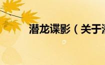 潜龙谍影（关于潜龙谍影的介绍）