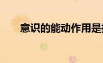 意识的能动作用是指 意识的能动作用