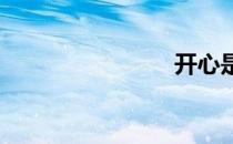 开心是什么