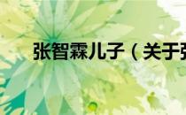 张智霖儿子（关于张智霖儿子的介绍）