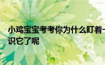 小鸡宝宝考考你为什么盯着一个字看久了，会突然觉得不认识它了呢