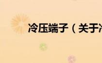 冷压端子（关于冷压端子的介绍）