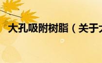 大孔吸附树脂（关于大孔吸附树脂的介绍）