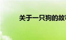 关于一只狗的故事 一只狗的故事