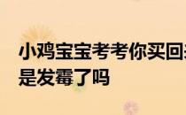 小鸡宝宝考考你买回来的柿饼上有一层白霜，是发霉了吗