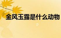 金风玉露是什么动物 金风玉露是什么意思