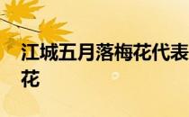 江城五月落梅花代表什么生肖 江城五月落梅花