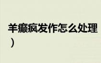 羊癫疯发作怎么处理（羊癫疯老是发作怎么办）