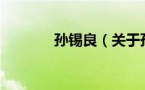 孙锡良（关于孙锡良的介绍）