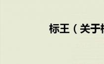 标王（关于标王的介绍）