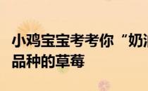 小鸡宝宝考考你“奶油草莓”的得名是因为该品种的草莓